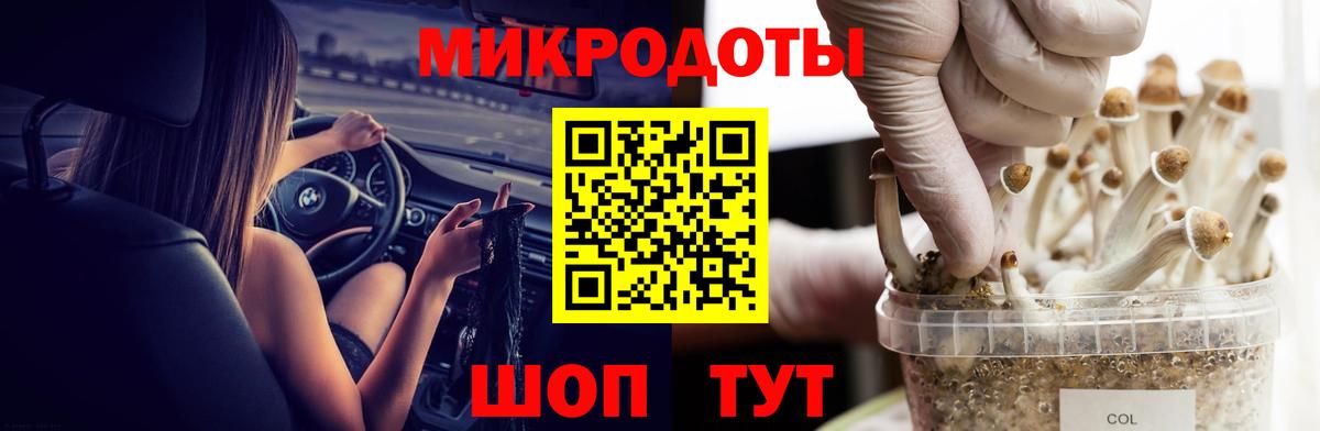 Галлюциногенные грибы Psilocybine cubensis  Вход с VPN  Биробиджан 